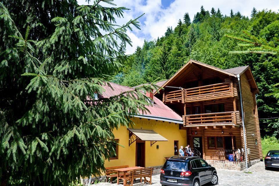 Cabana Bradul Rodna Zewnętrze zdjęcie