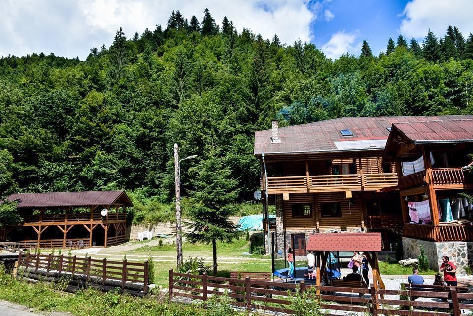Cabana Bradul Rodna Zewnętrze zdjęcie
