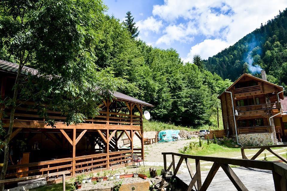 Cabana Bradul Rodna Zewnętrze zdjęcie